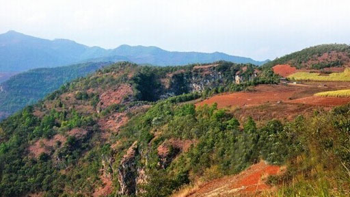 奥斯卡影帝短信成龙求角色:什么都听你的