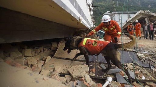 女子出轨跳河丈夫和儿子施救 一家四口溺亡