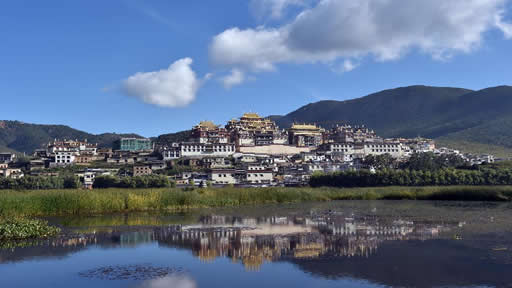 南网视]电信诈骗花样翻新:伪基站能冒用任意号码