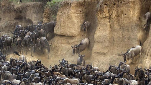 谚语求证:秋不食姜,秋瓜坏肚有没有道理