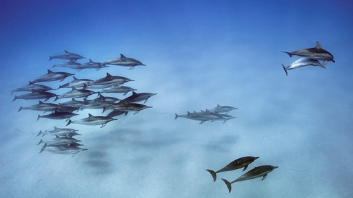 德宏:边境贸易出口商品人民币结算退税等试点