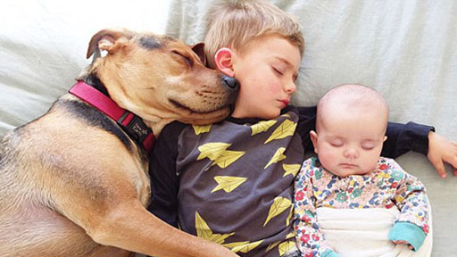 南太平洋岛国火山喷发喷出一座全新小岛