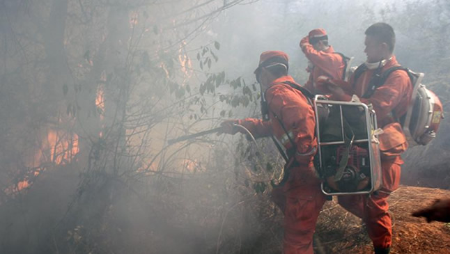 喝醉酒3种水果来解救 香蕉治酒后心悸胸闷