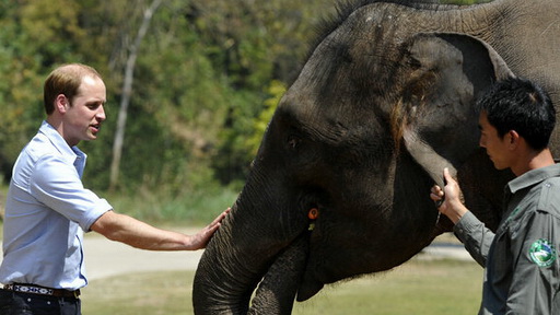 CAA横扫奥斯卡大奖 包揽影帝影后最佳导演