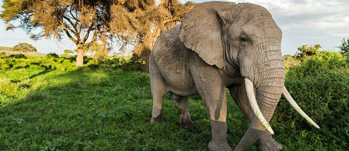 东盟超越日本成为上海关区第三大贸易伙伴