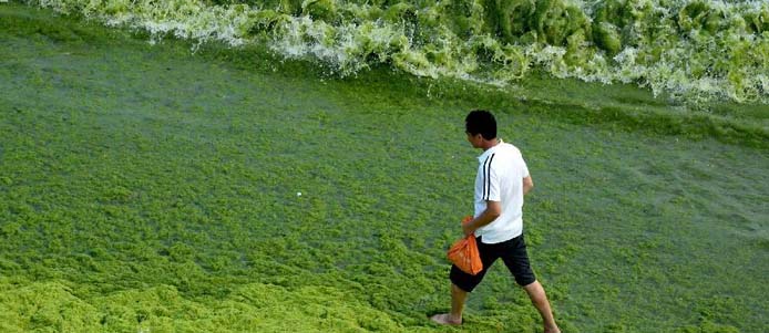 云南频道]花千骨赵丽颖遭扒皮:整容前后对比照