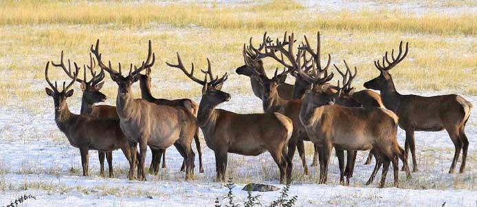 云南省招考院提醒:辨清中专高职录取通知书