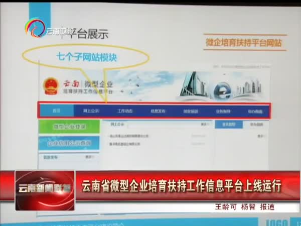 云南:微型企业培育扶持工作信息平台运行
