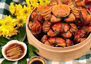 [新华网云南频道]赵丽颖杨蓉霍建华马可 古装剧