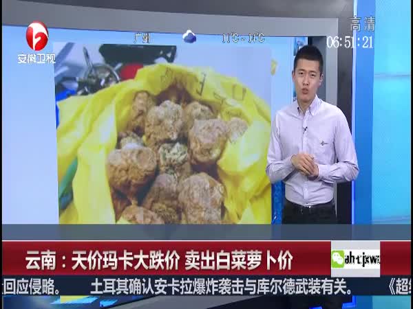 [云南网视]云南: 天价玛卡 大跌价 卖出 白菜 萝卜价