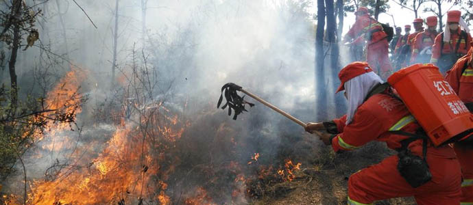 华网云南频道]刘诗诗吴奇隆巴厘岛大婚 杨幂赵