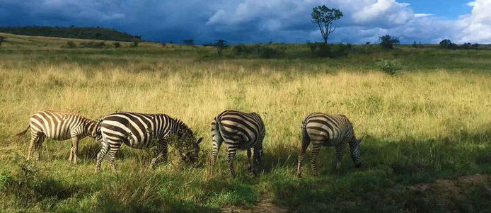 [新华网云南频道]山药大麦羊肉苦瓜 胃不好可多