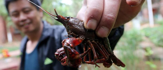 [新华网云南频道]智能家居 何时进入百姓家