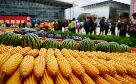 第十三届中国昆明国际农业博览会