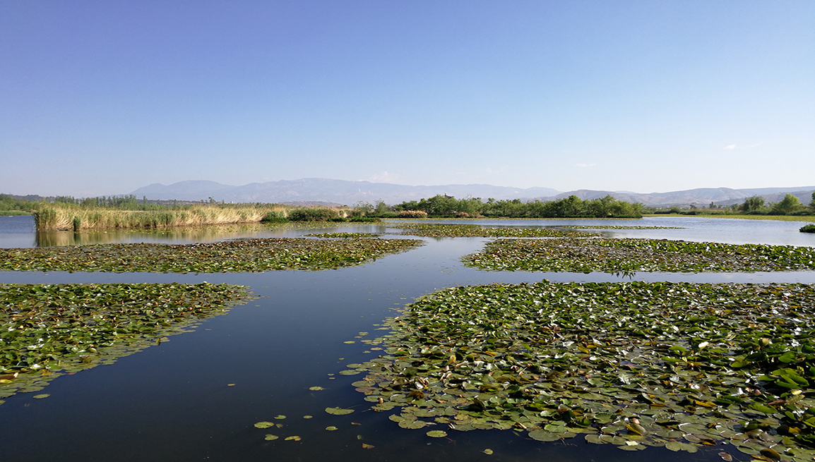 农发行大理州分行支持洱海保护，图为入洱海水系永安江湿地修复后的美景