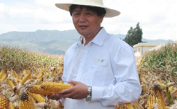雲南省著名玉米專家番興明榮獲老撾人民民主共和國傑出貢獻獎