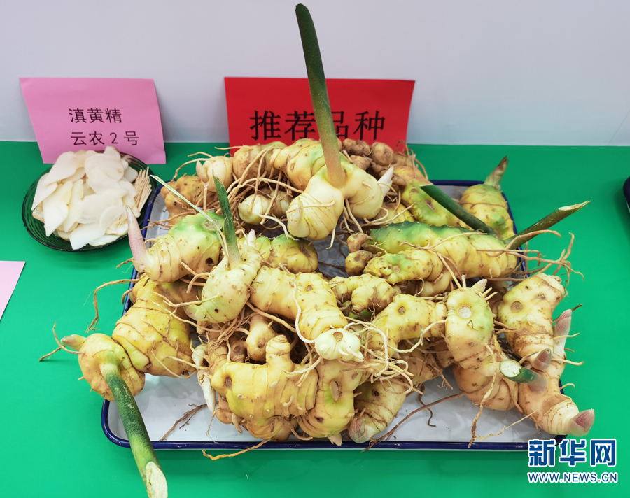 名医在线咨询服务：让健康触手可及